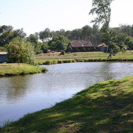 Gite 4kms plage grand domaine privé lacs natura 2000 Lit-et-Mixe Exterior foto