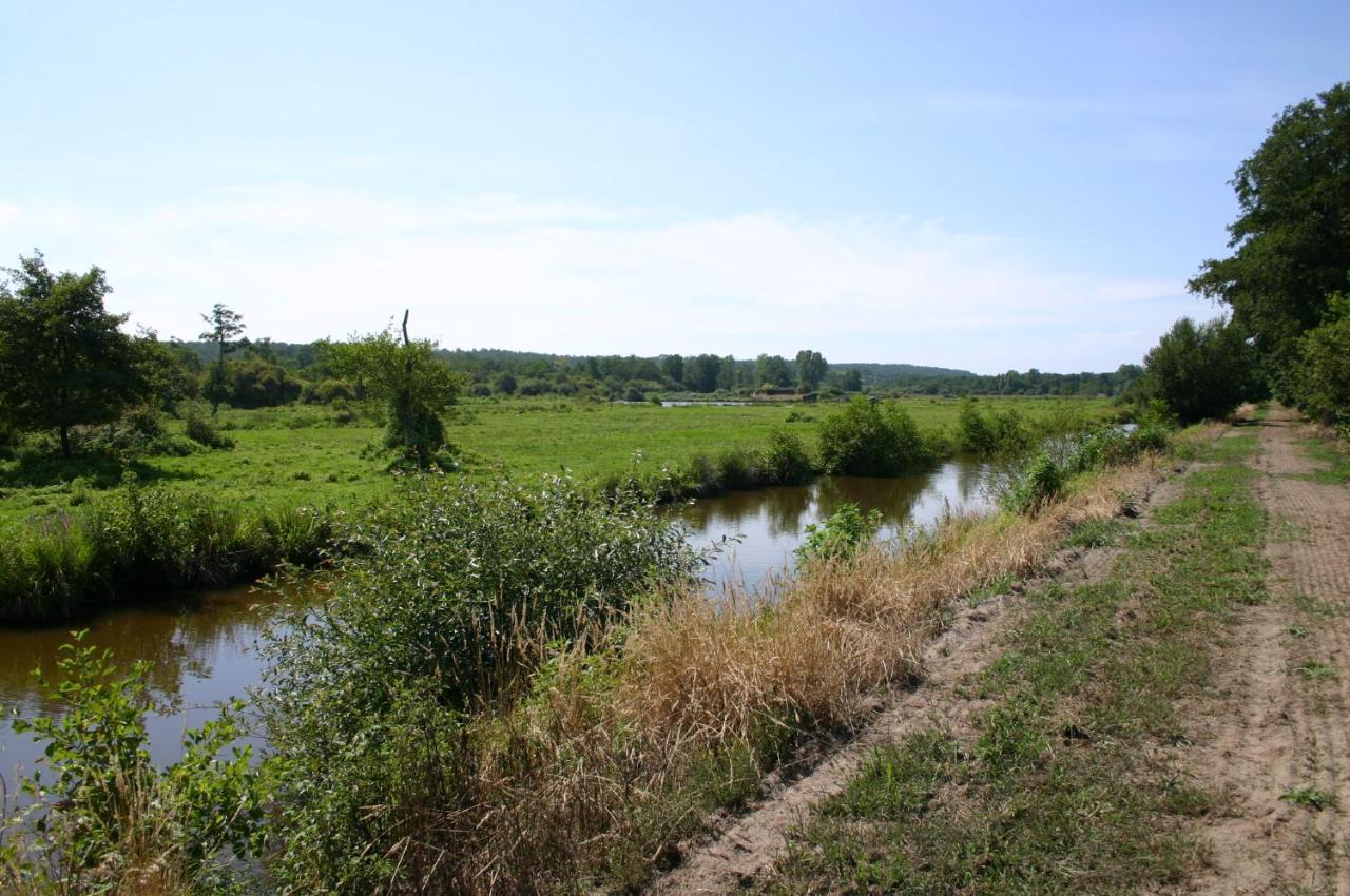 Gite 4kms plage grand domaine privé lacs natura 2000 Lit-et-Mixe Exterior foto